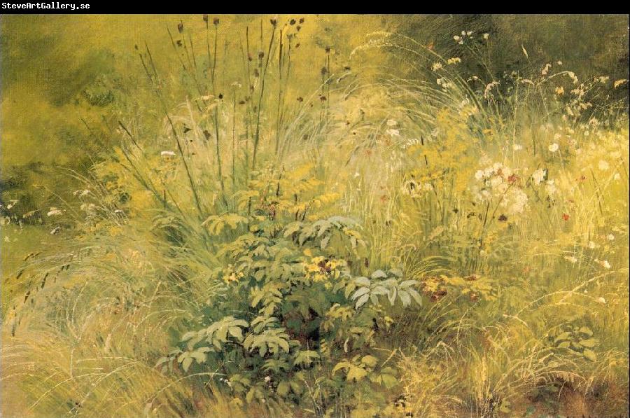 Ivan Shishkin Herbage